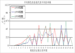 威奇塔碧根果