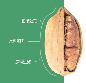 碧根果玉米黄色网站初加工